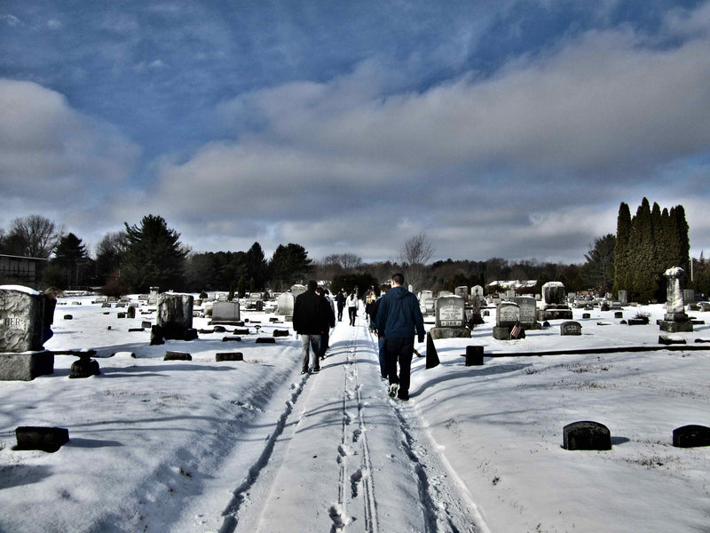A Walk in the Snow.