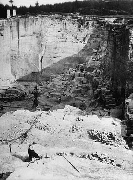 2010~The Year of the Liberator~Liberation of Gross Rosen-February 13, 1945