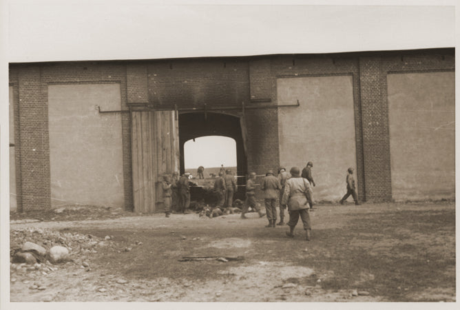2010~The Year of the Liberator~Early April 1945:American troops inspect the site of the Gardelegen atrocity.